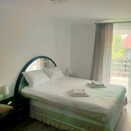 Maramures Plai Cu Flori Ocna Şugatag Extérieur photo