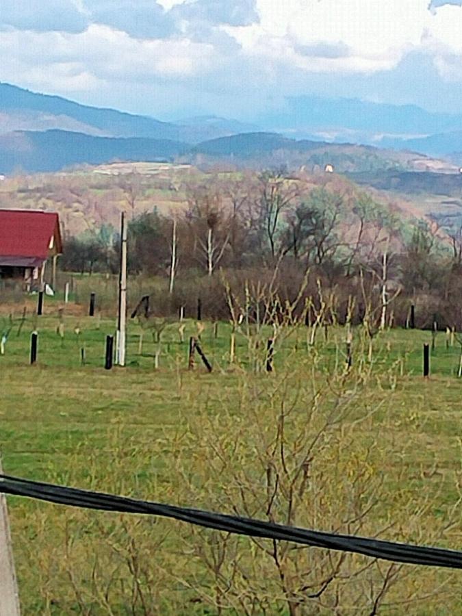 Maramures Plai Cu Flori Privatunterkunft
